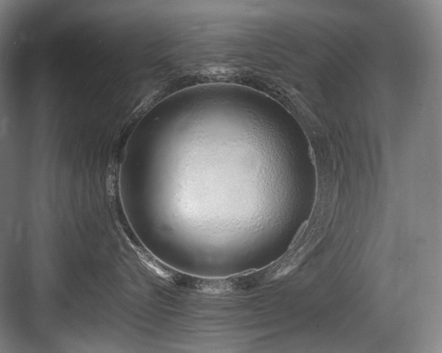 X0000083660576200702121219