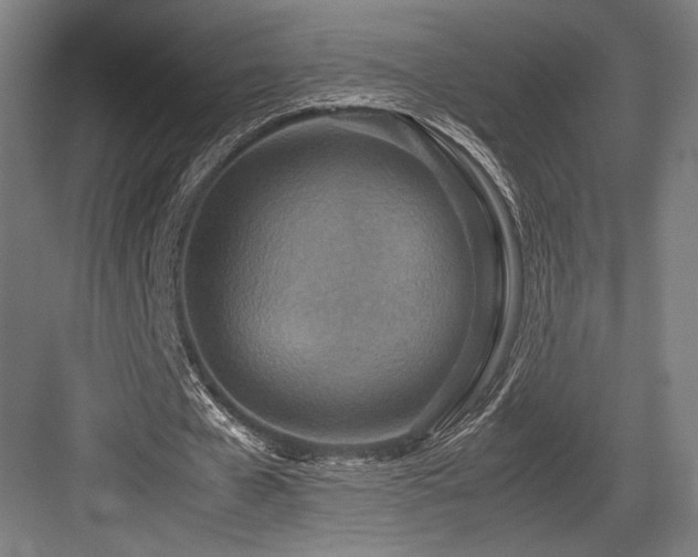 X0000083660577200702121218