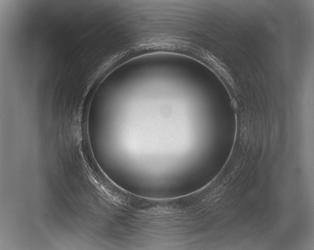 X0000083660578200702121218