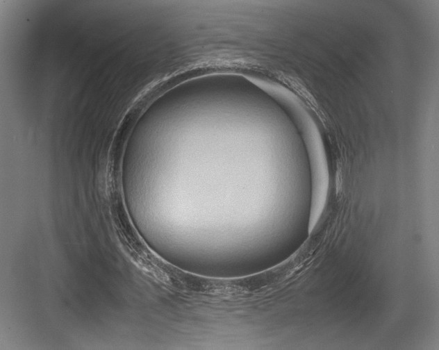 X0000083660579200702121218