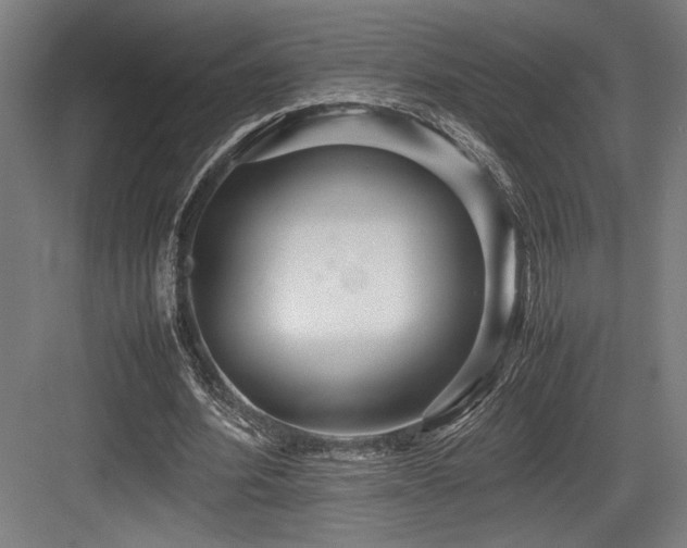 X0000083660580200702121218
