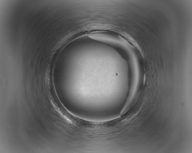 X0000083660581200702121218