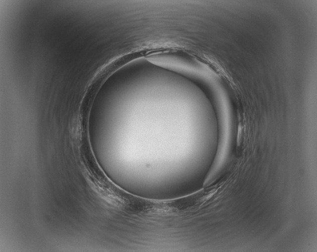 X0000083660583200702121218