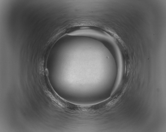 X0000083660585200702121218