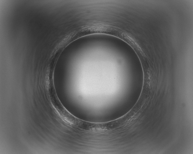 X0000083660586200702121218