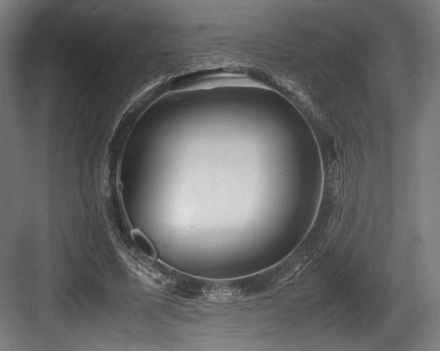 X0000083660587200702121218