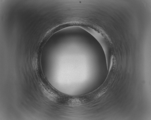 X0000083660588200702121218