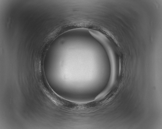 X0000083660589200702121218