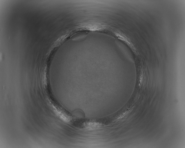X0000083660590200702121218