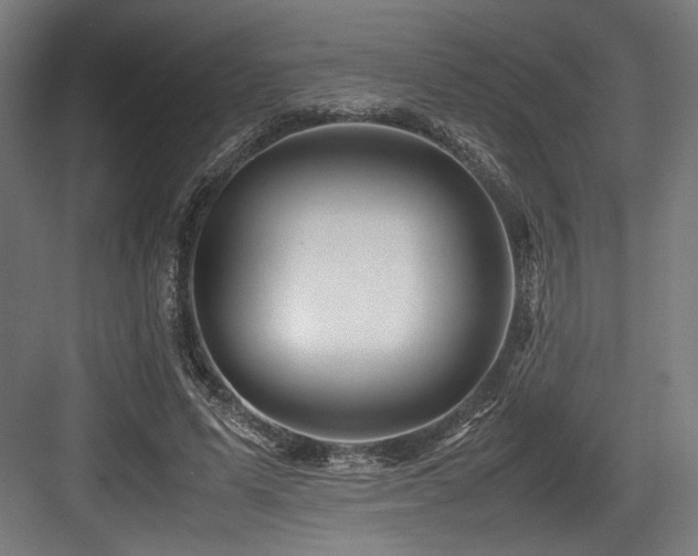 X0000083660591200702121218