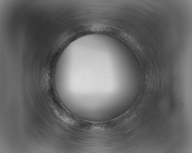 X0000083660592200702121218