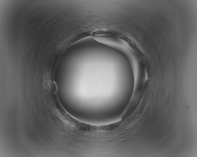 X0000083660593200702121218