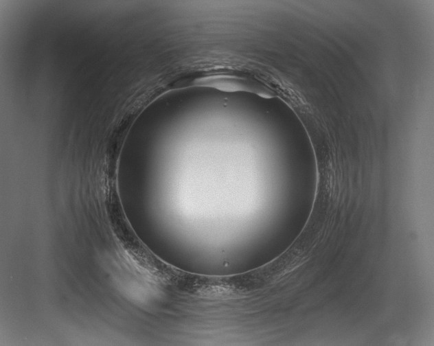 X0000083660594200702121218