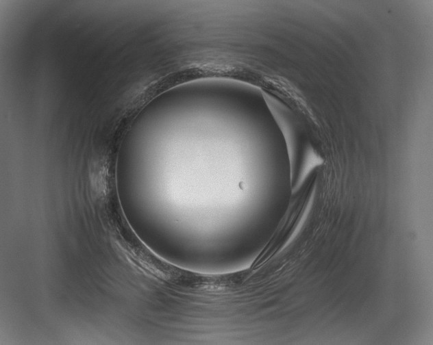 X0000083660596200702121218