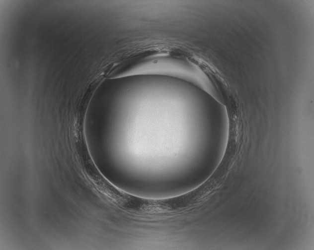 X0000083660597200702121218