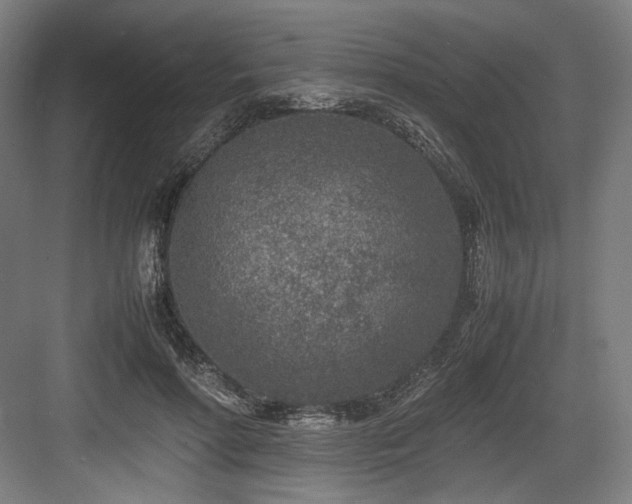 X0000083660598200702121218