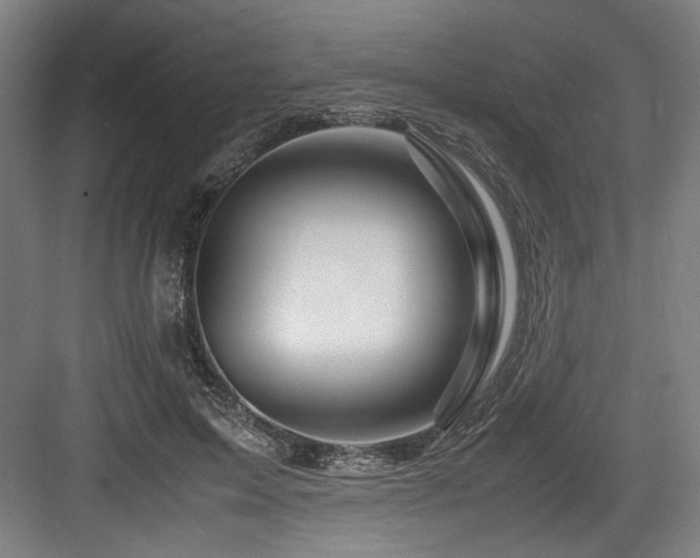 X0000083660599200702121218