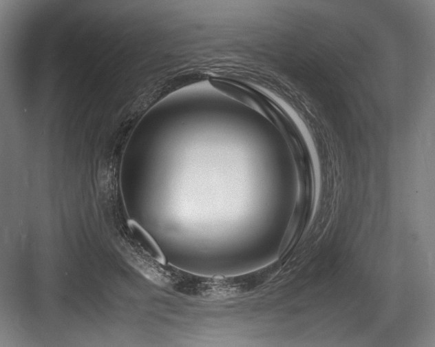X0000083660601200702121218