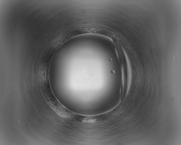 X0000083660602200702121218