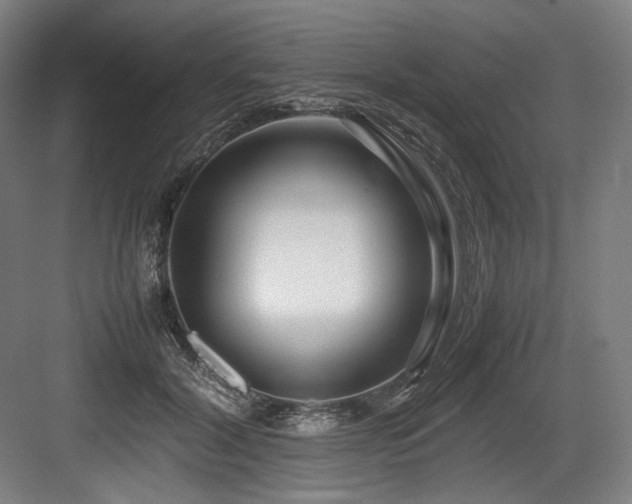 X0000083660604200702121218
