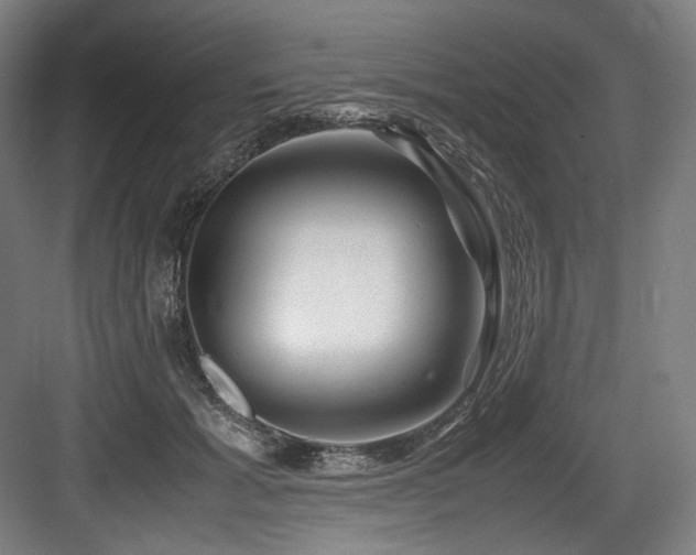 X0000083660605200702121218