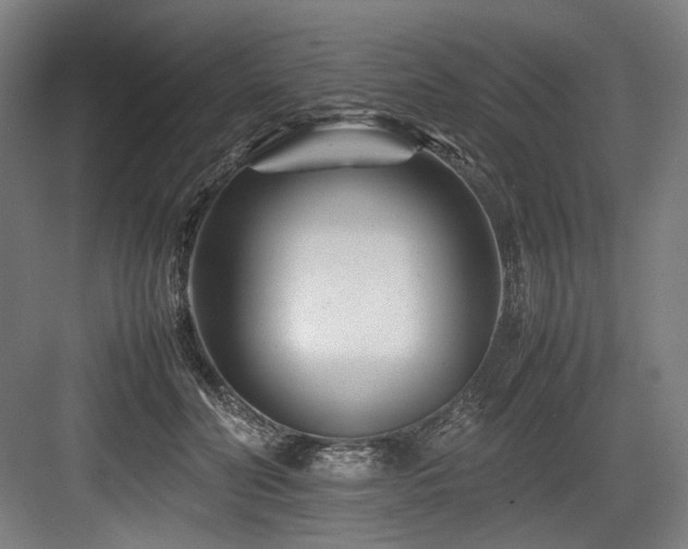 X0000083660606200702121218