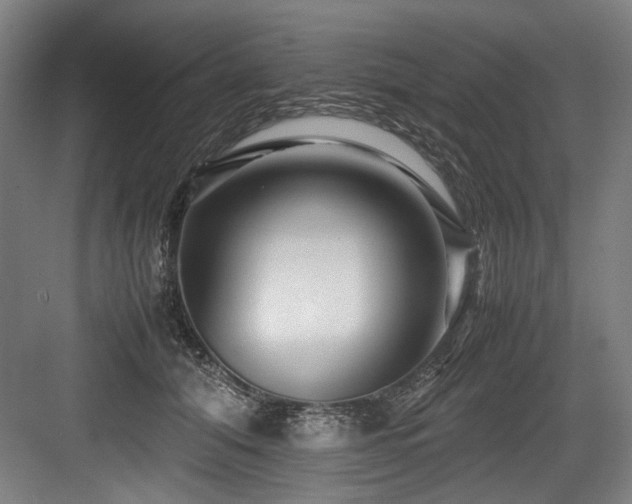 X0000083660608200702121218