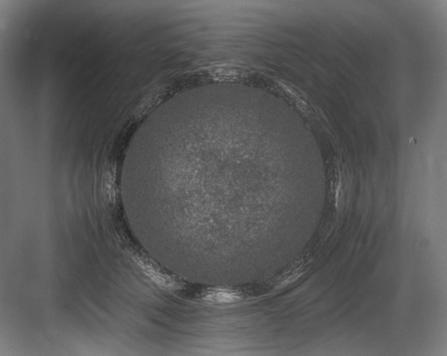 X0000083660610200702121218