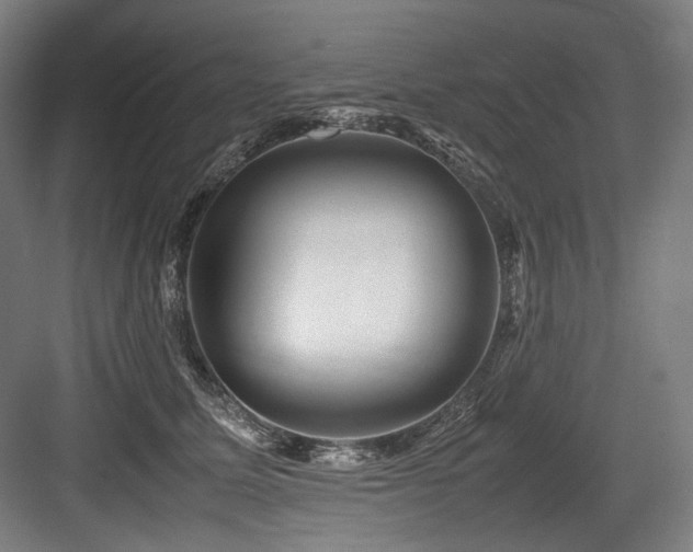 X0000083660611200702121218