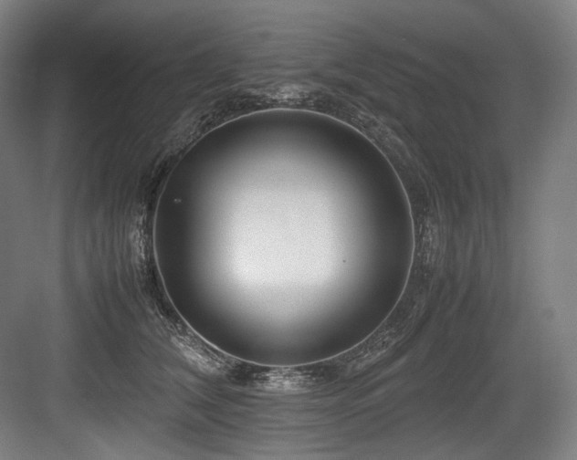 X0000083660612200702121218
