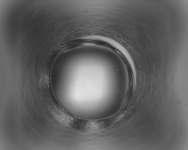 X0000083660613200702121218