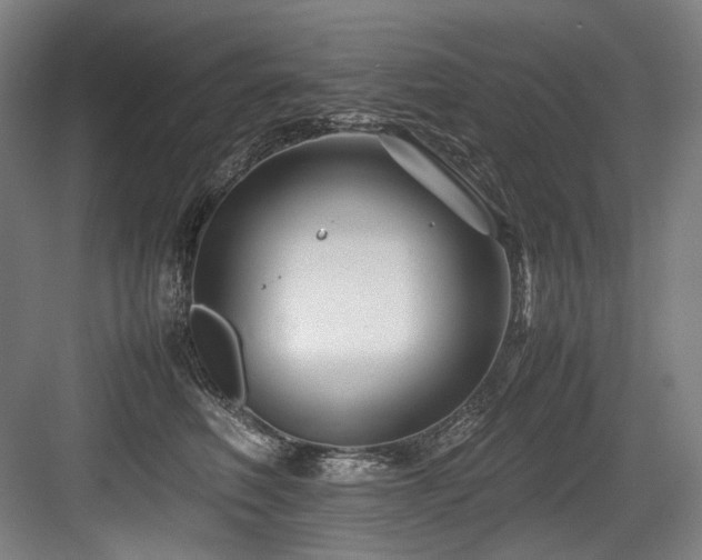 X0000083660614200702121218