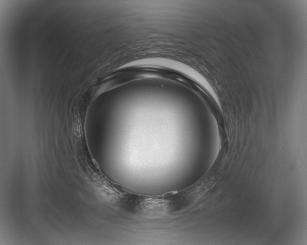 X0000083660617200702121217