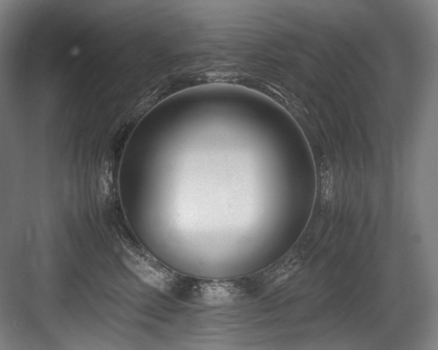 X0000083660618200702121217