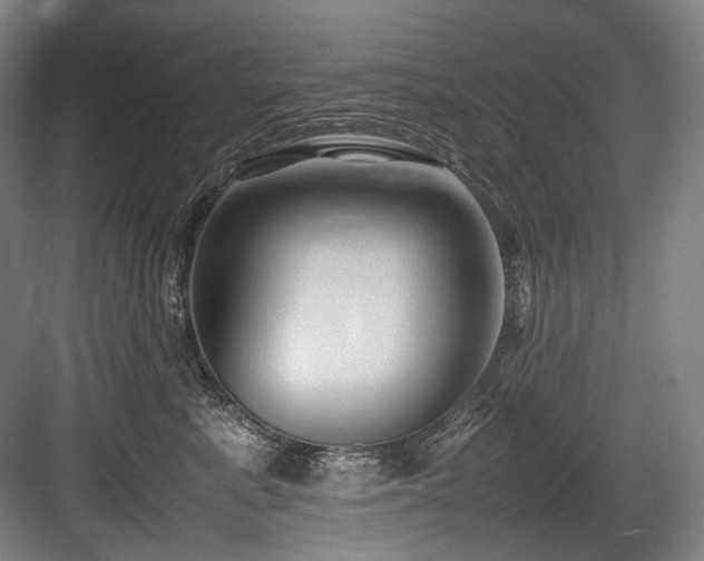 X0000083660619200702121217