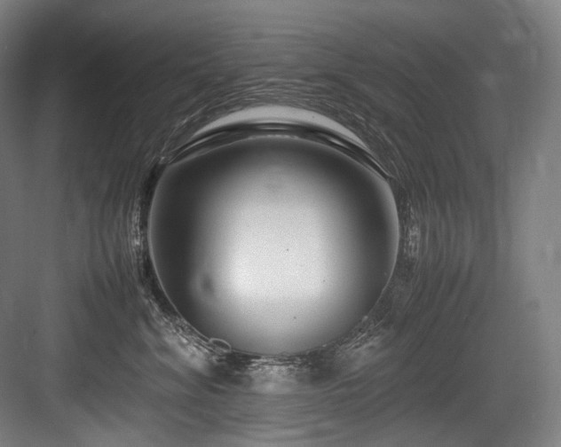 X0000083660620200702121217