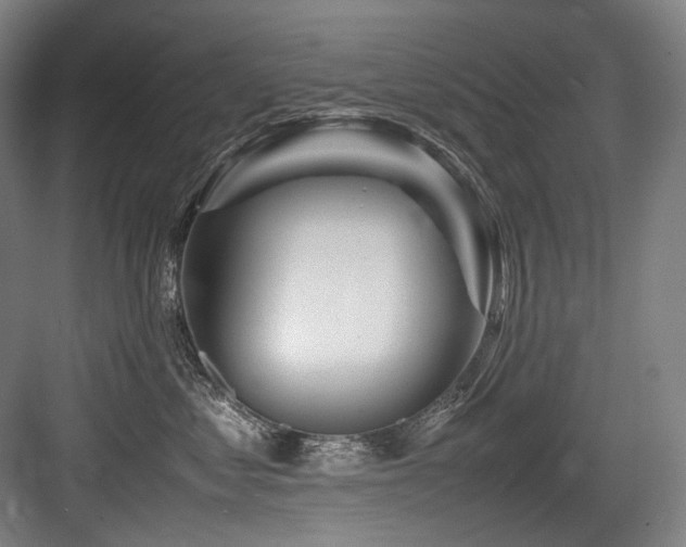X0000083660621200702121217