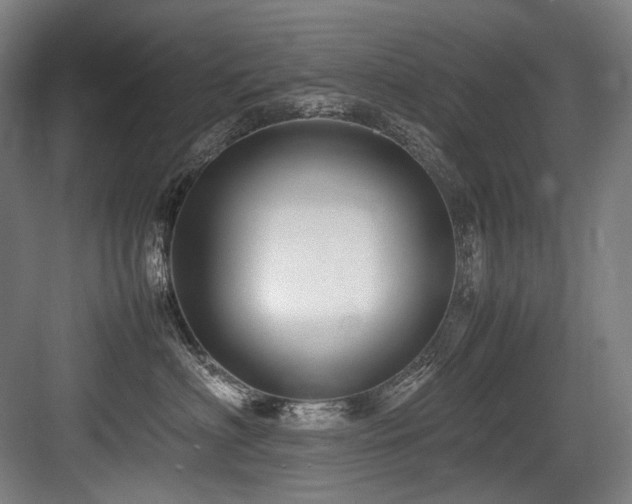 X0000083660622200702121217