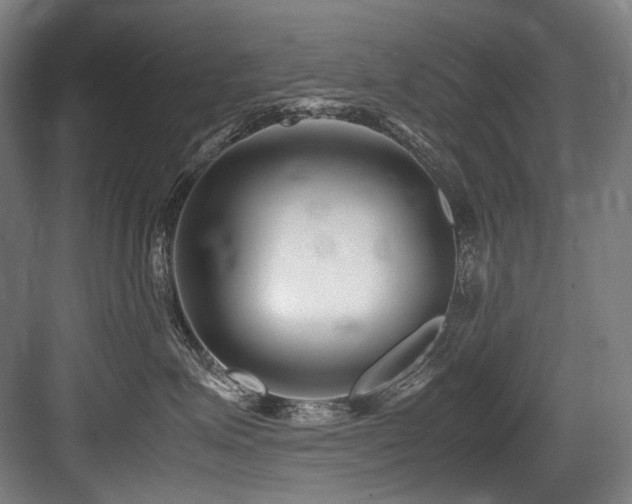 X0000083660623200702121217