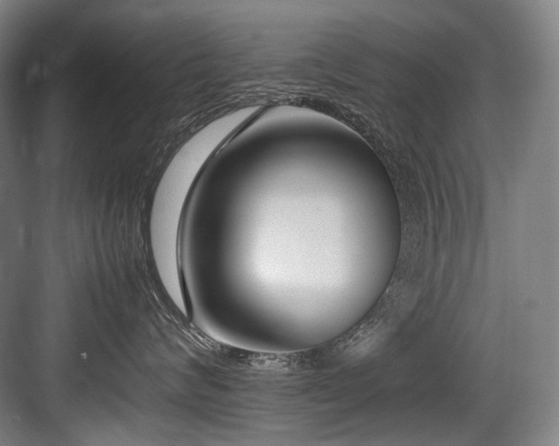 X0000083660624200702121217