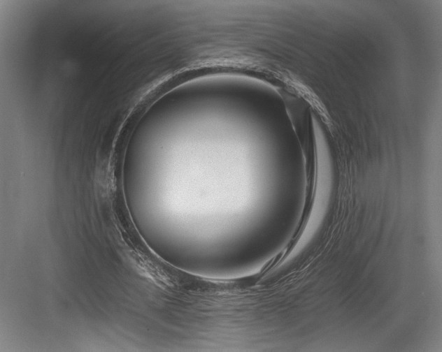 X0000083660628200702121217