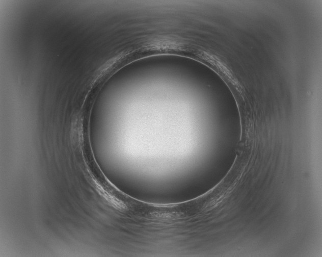 X0000083660629200702121217