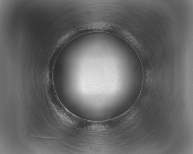 X0000083660636200702121217