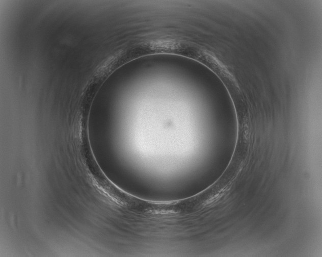X0000083660637200702121217