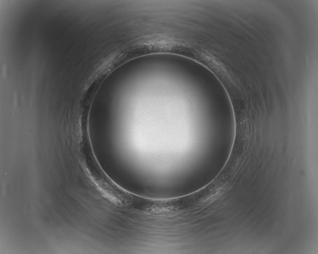 X0000083660638200702121217