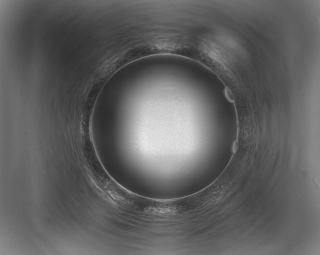X0000083660639200702121217