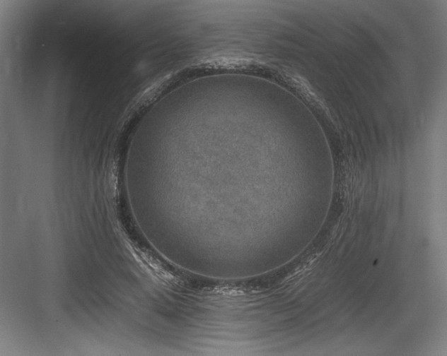 X0000083660640200702121217