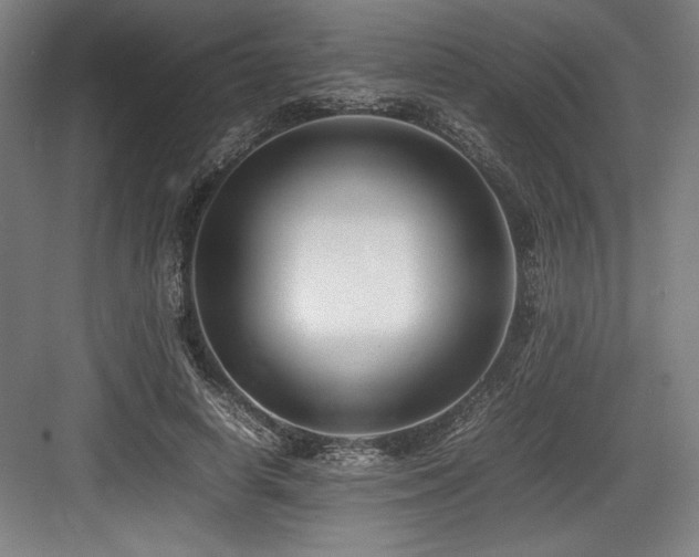 X0000083660642200702121217