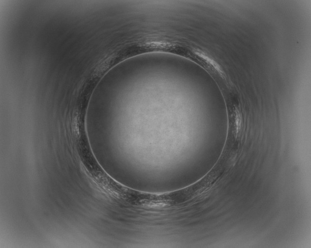 X0000083660643200702121217