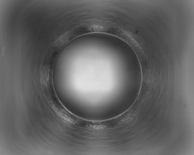 X0000083660645200702121217